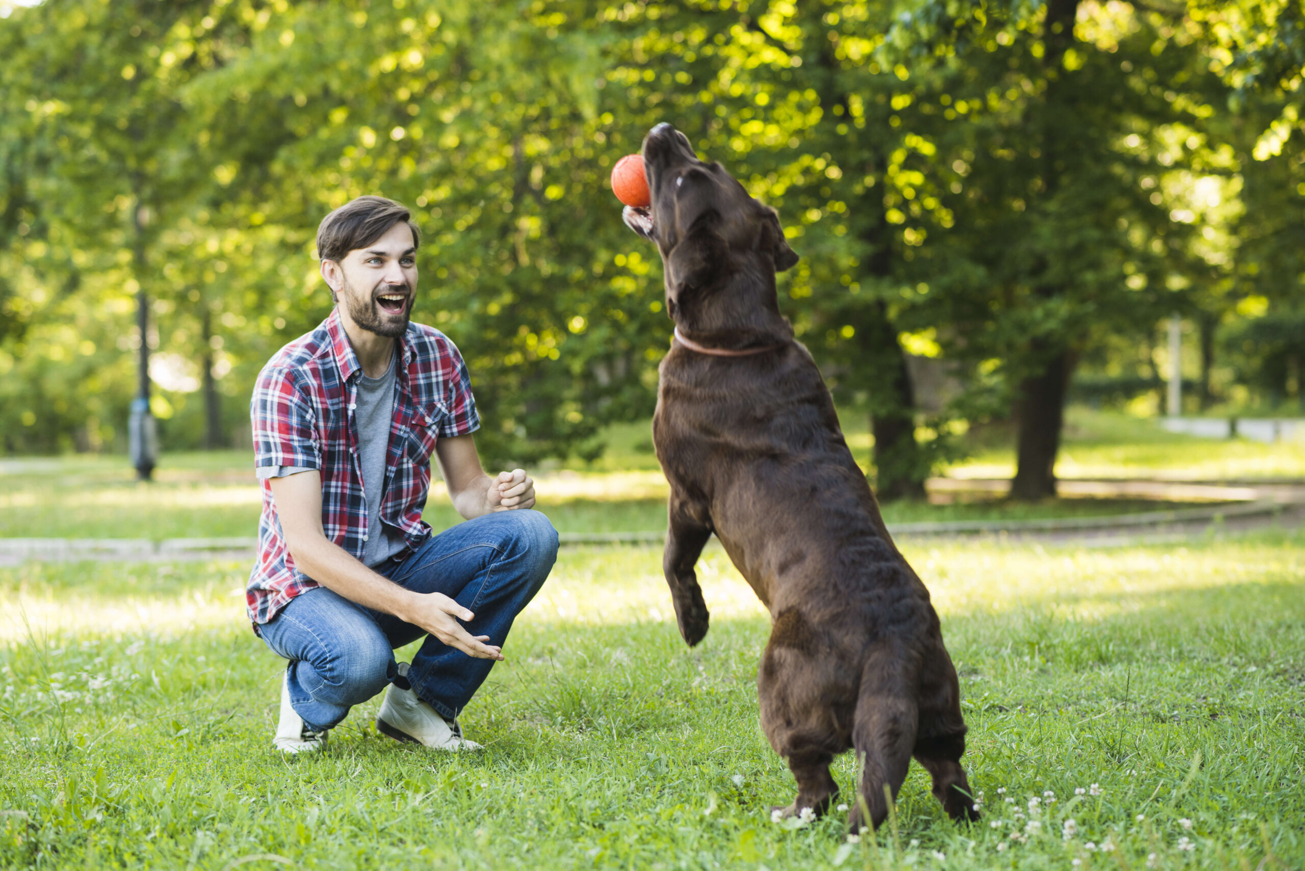 Top Tips for Keeping Your Dog’s Environment Clean | The Importance of Poop Bags